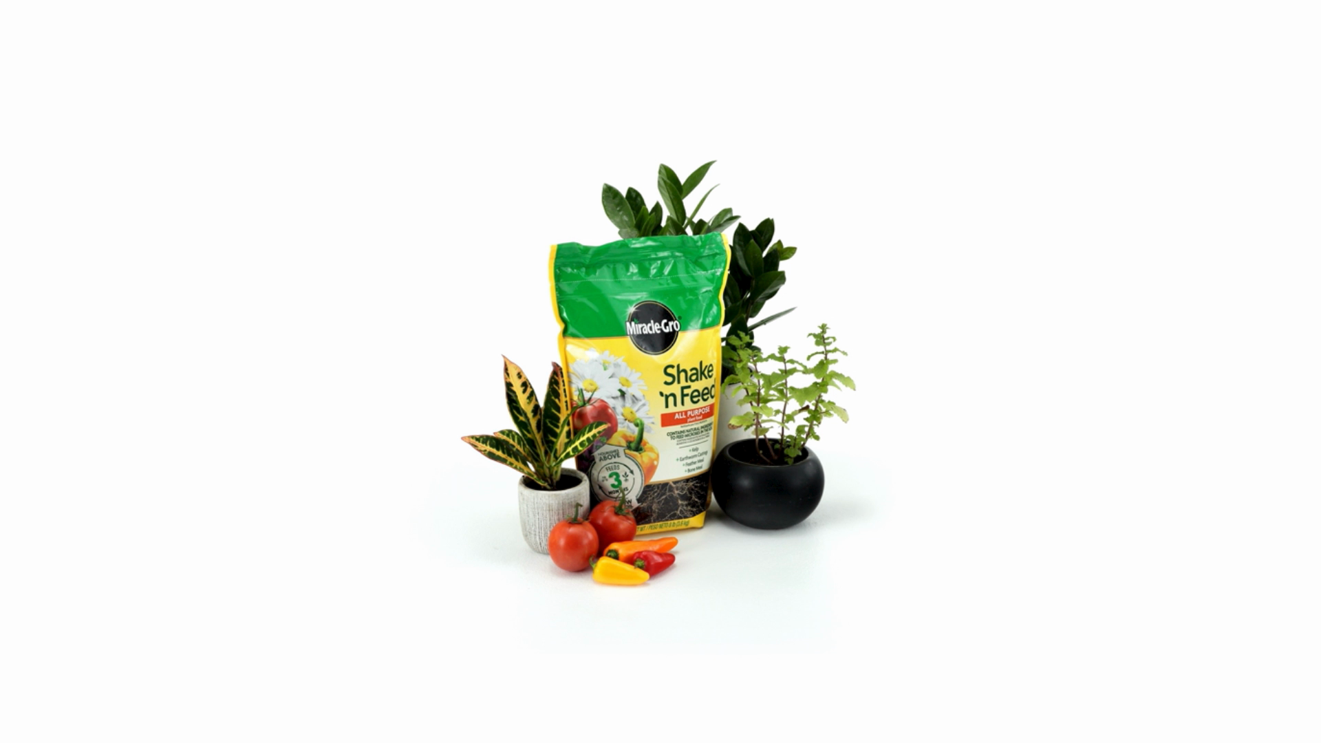 ★(miracle1028)リッチフラワールチル 8.8ミリEFGHI Miracle-Gro® Shake 'N Feed All Purpose Plant Food | ScottsMiracle