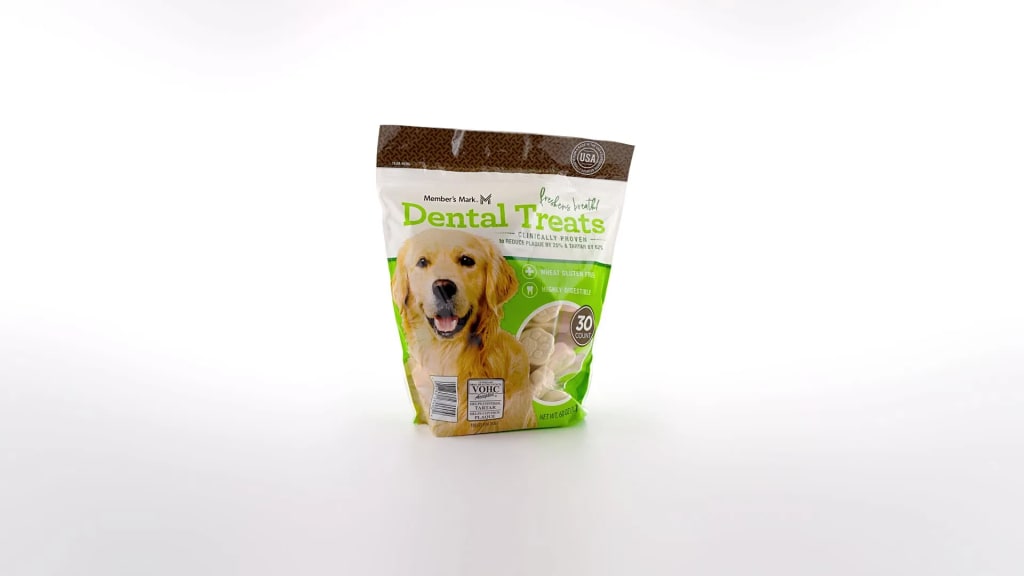 Interactive Experience Loading Indicator