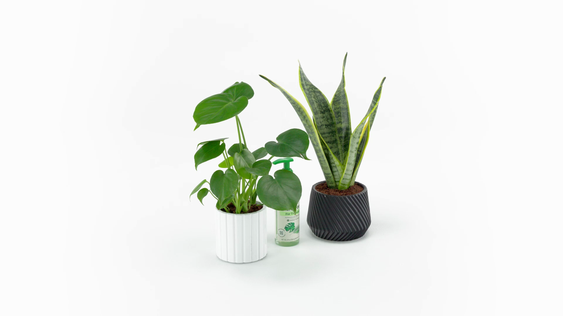 Miracle-Gro Indoor Plant Food for Tropicals | ScottsMiracle-Gro US