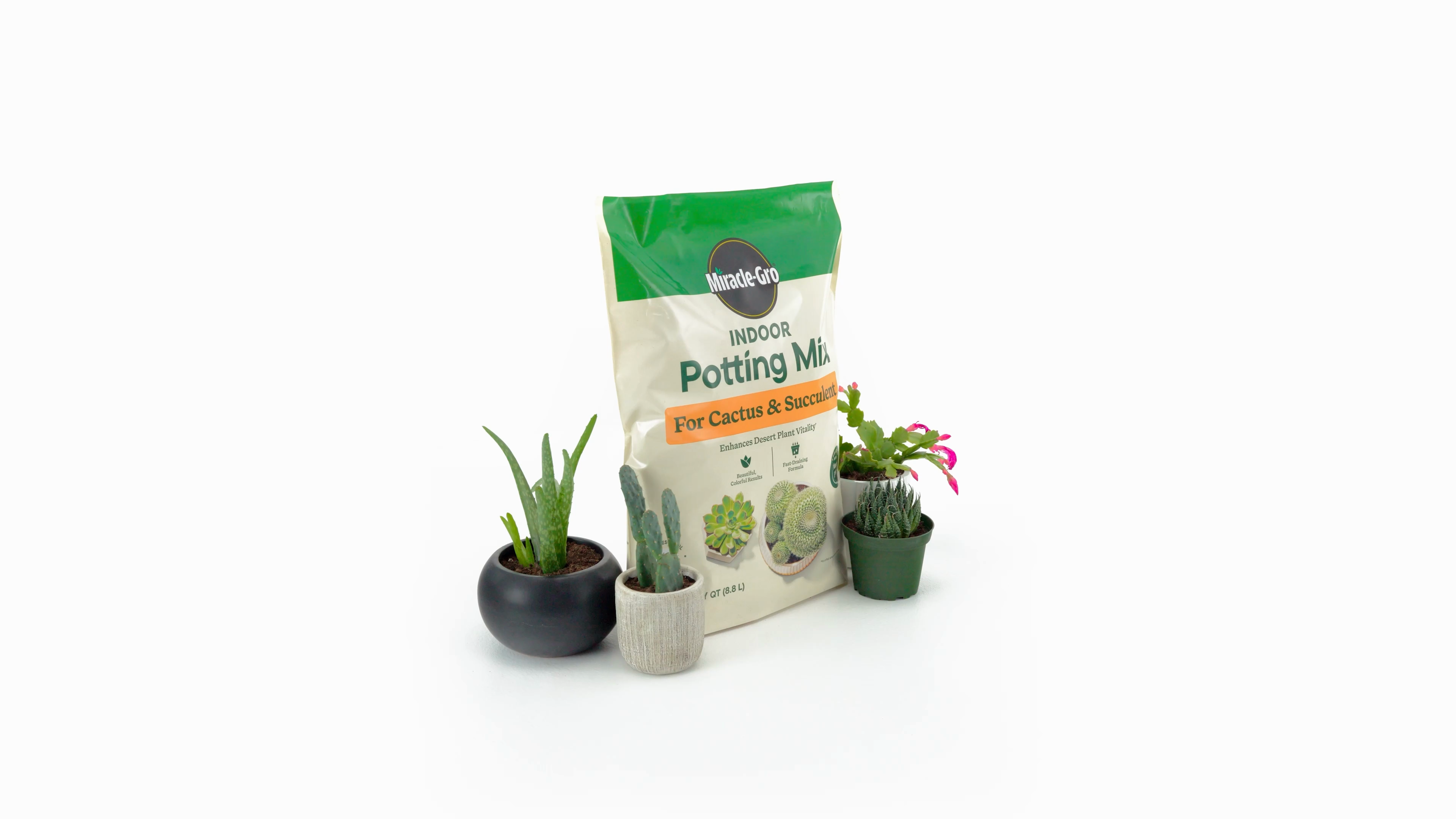 Miracle-Gro Indoor Potting Mix for Cactus and Succulent | ScottsMiracle ...