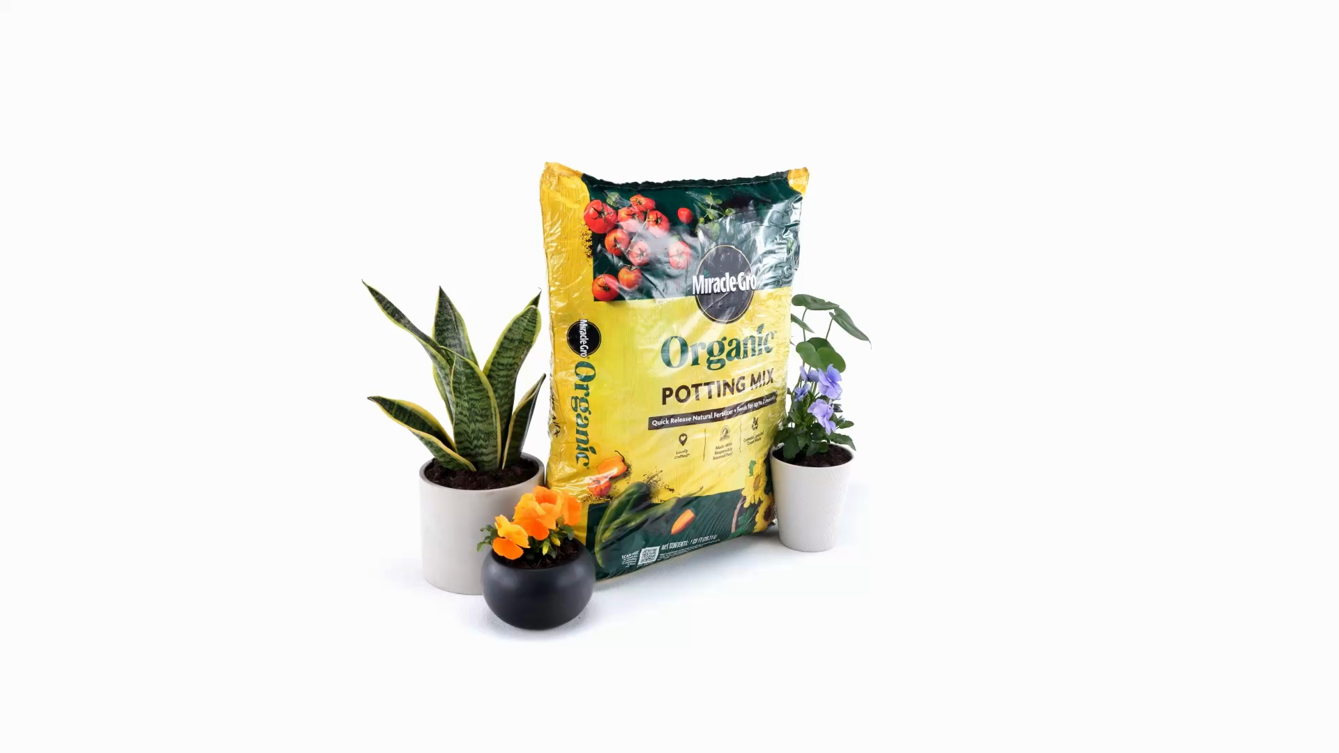 plant self watering bulbs Terracotta Watering Bulbs main image 0