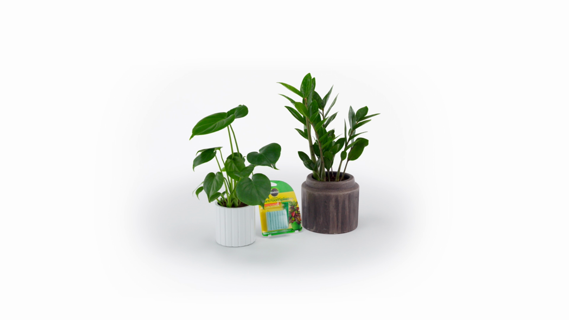 Miracle-Gro Indoor Plant Food Spikes for All Plants