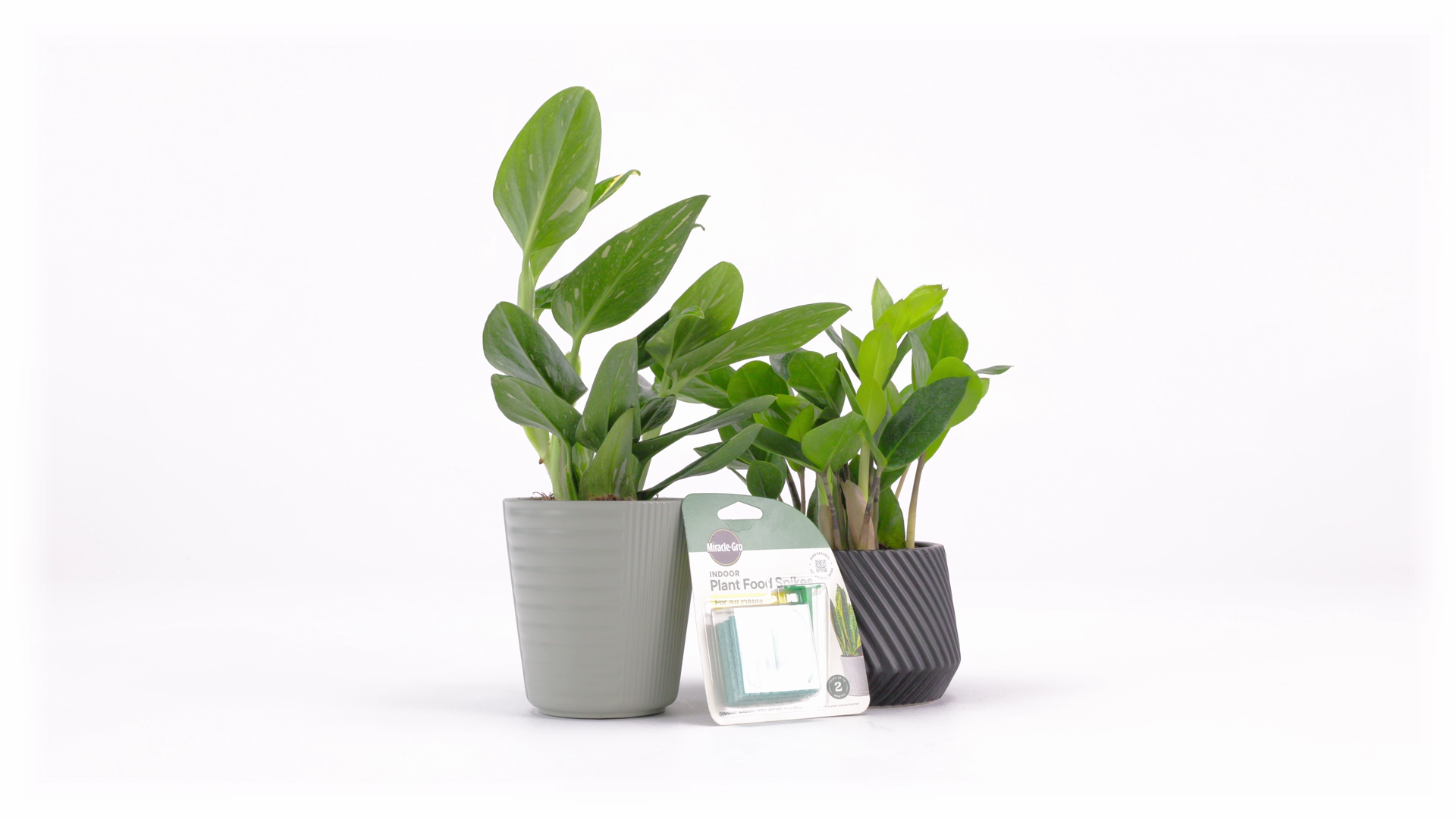 Miracle-Gro Indoor Plant Food Spikes for All Plants | ScottsMiracle-Gro US