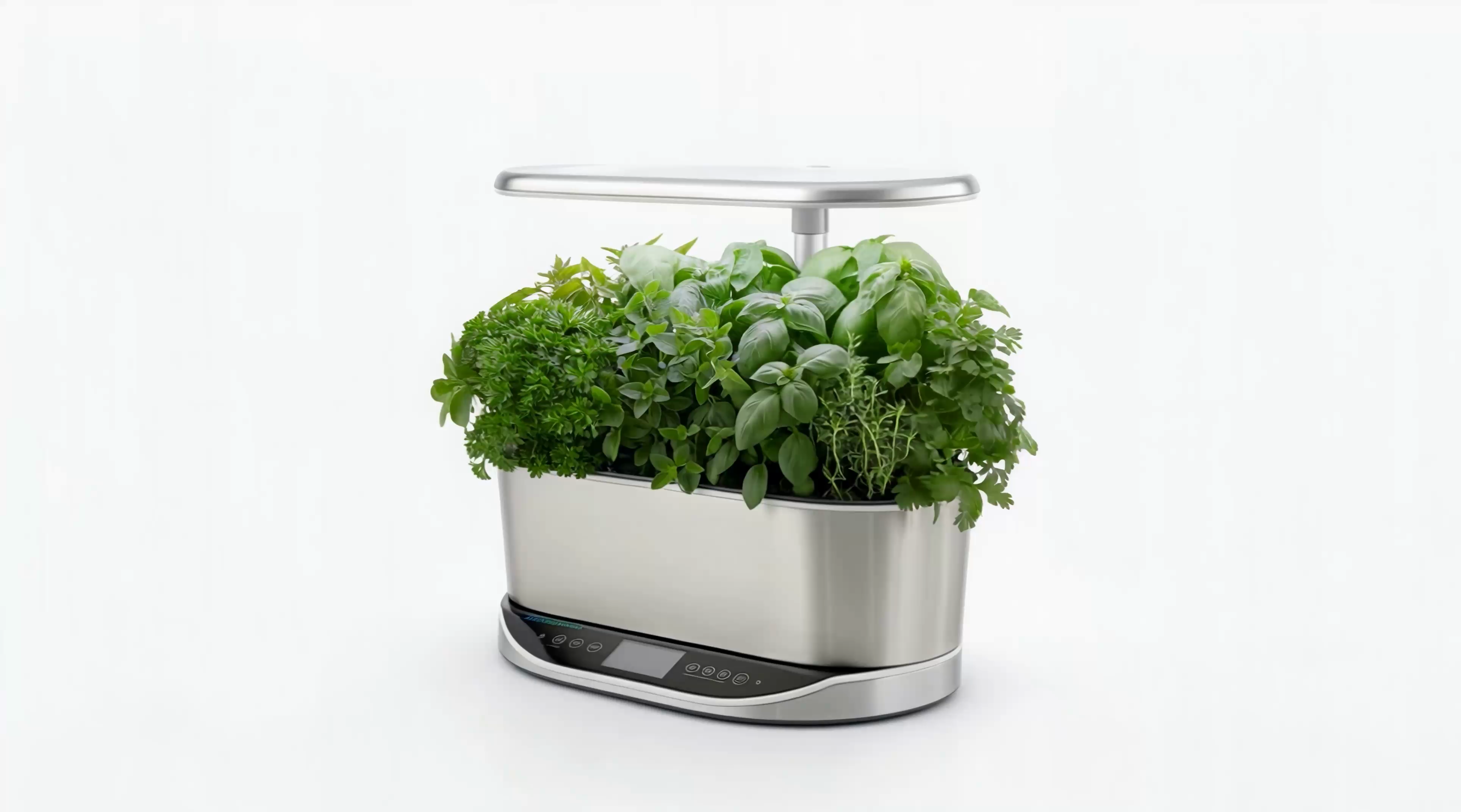 potted hanging plants All Seasons Fittonia Leaf Hanging Basket Everyday Faux Greenery main image 1
