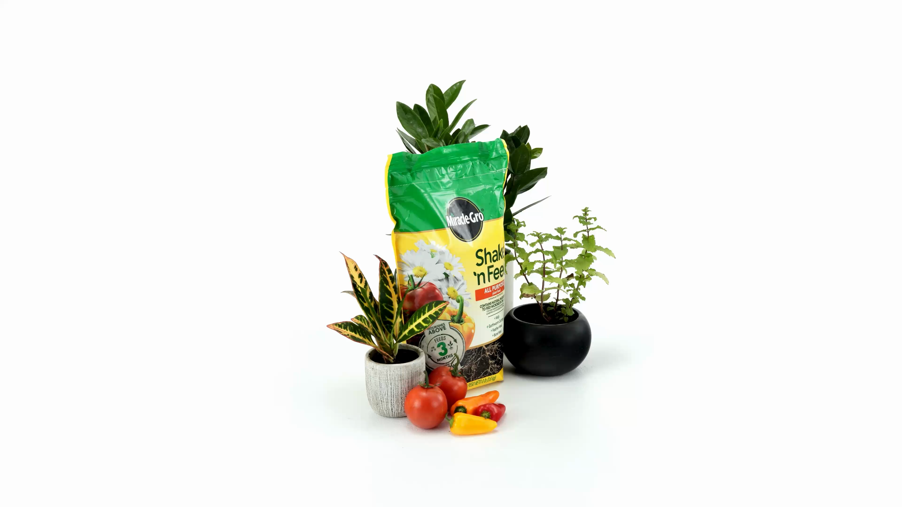 lettuce nutrient npk a 8-0-0 e b 0-6-12 liquid Medina 1 Gal. HastaGro 6-12-6 Liquid Plant Food Plus main image 0