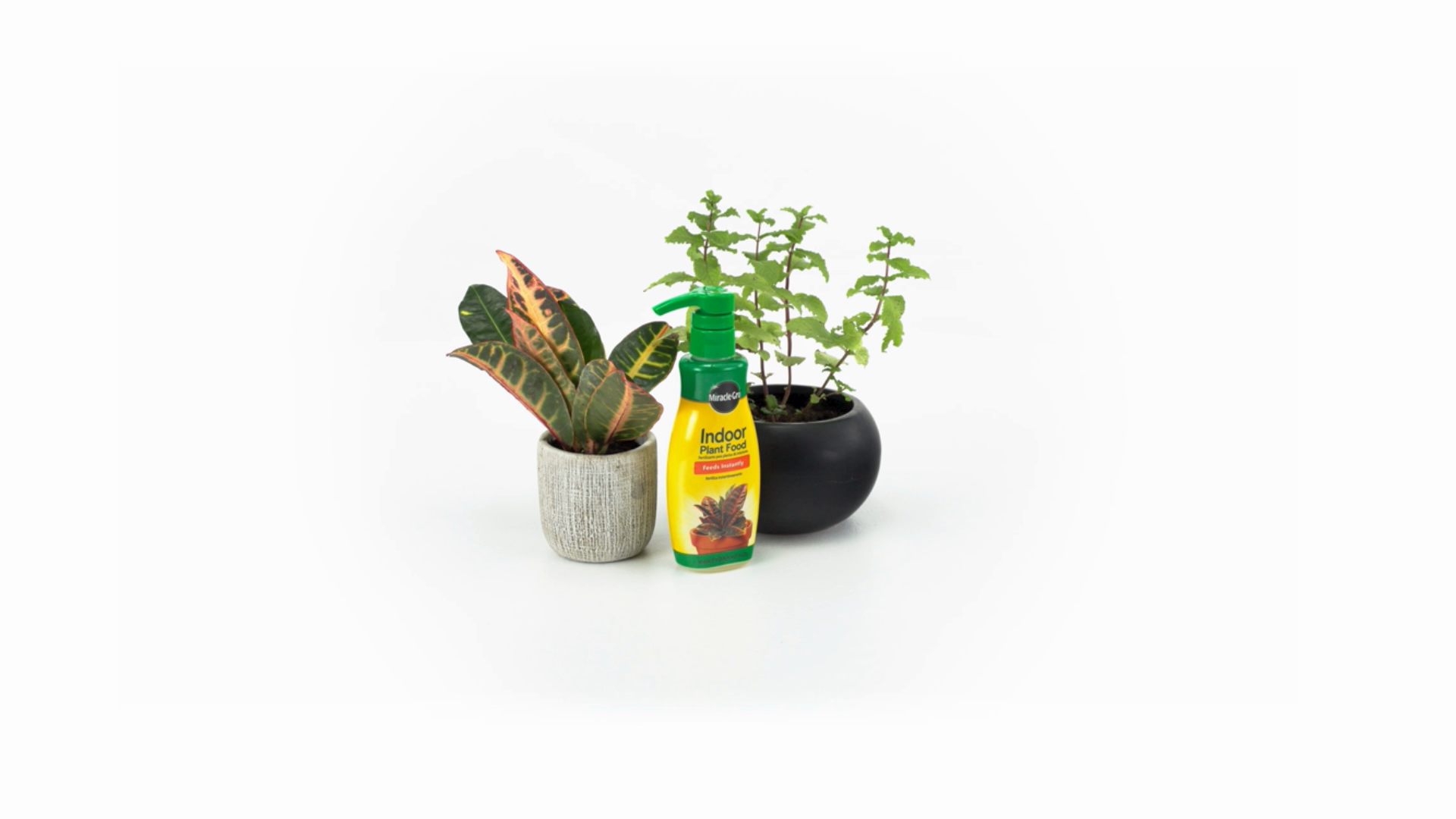 Miracle-Gro Indoor Plant Food | ScottsMiracle-Gro US