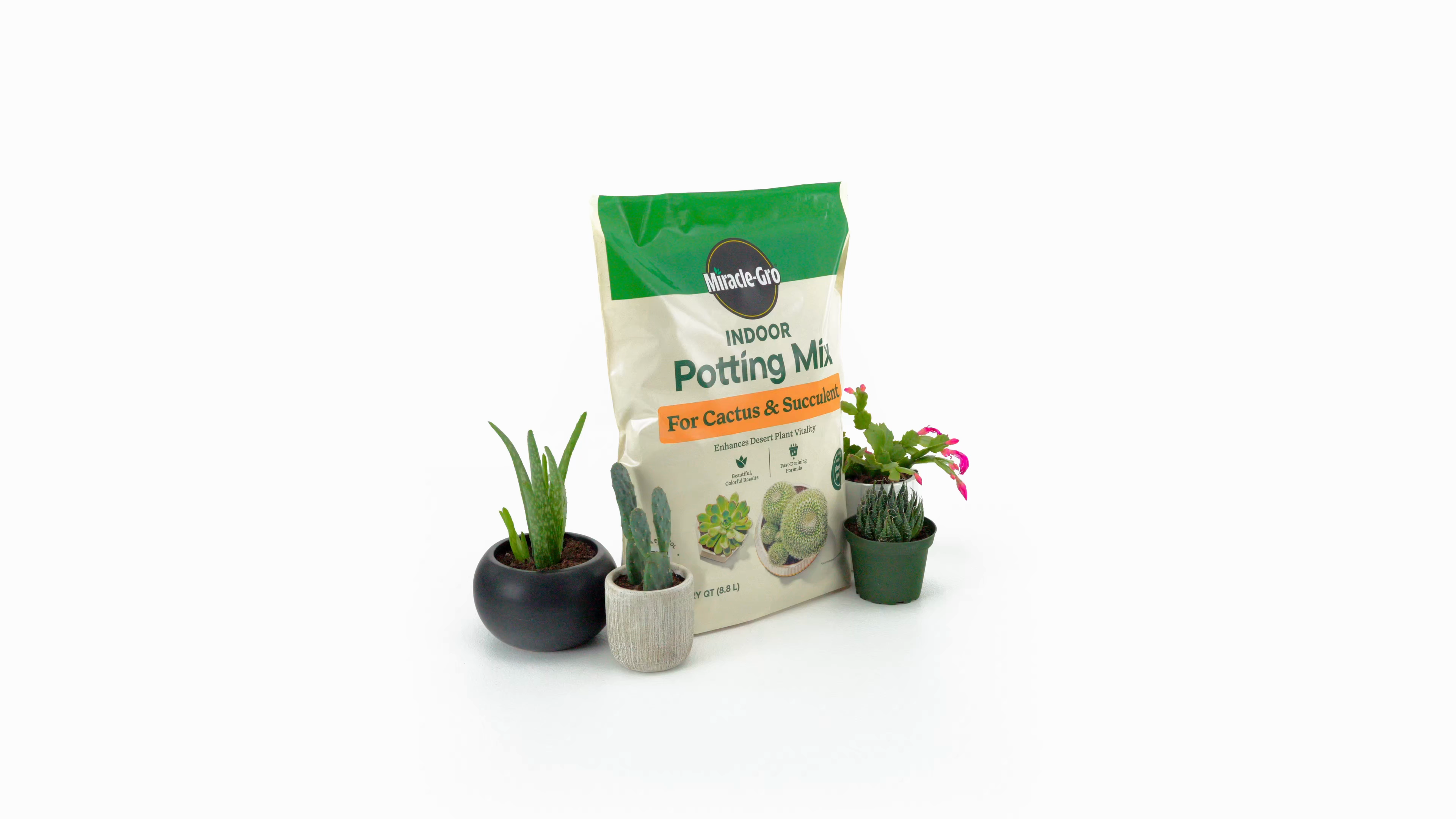Miracle-Gro Indoor Potting Mix for Cactus and Succulent | ScottsMiracle-Gro  US