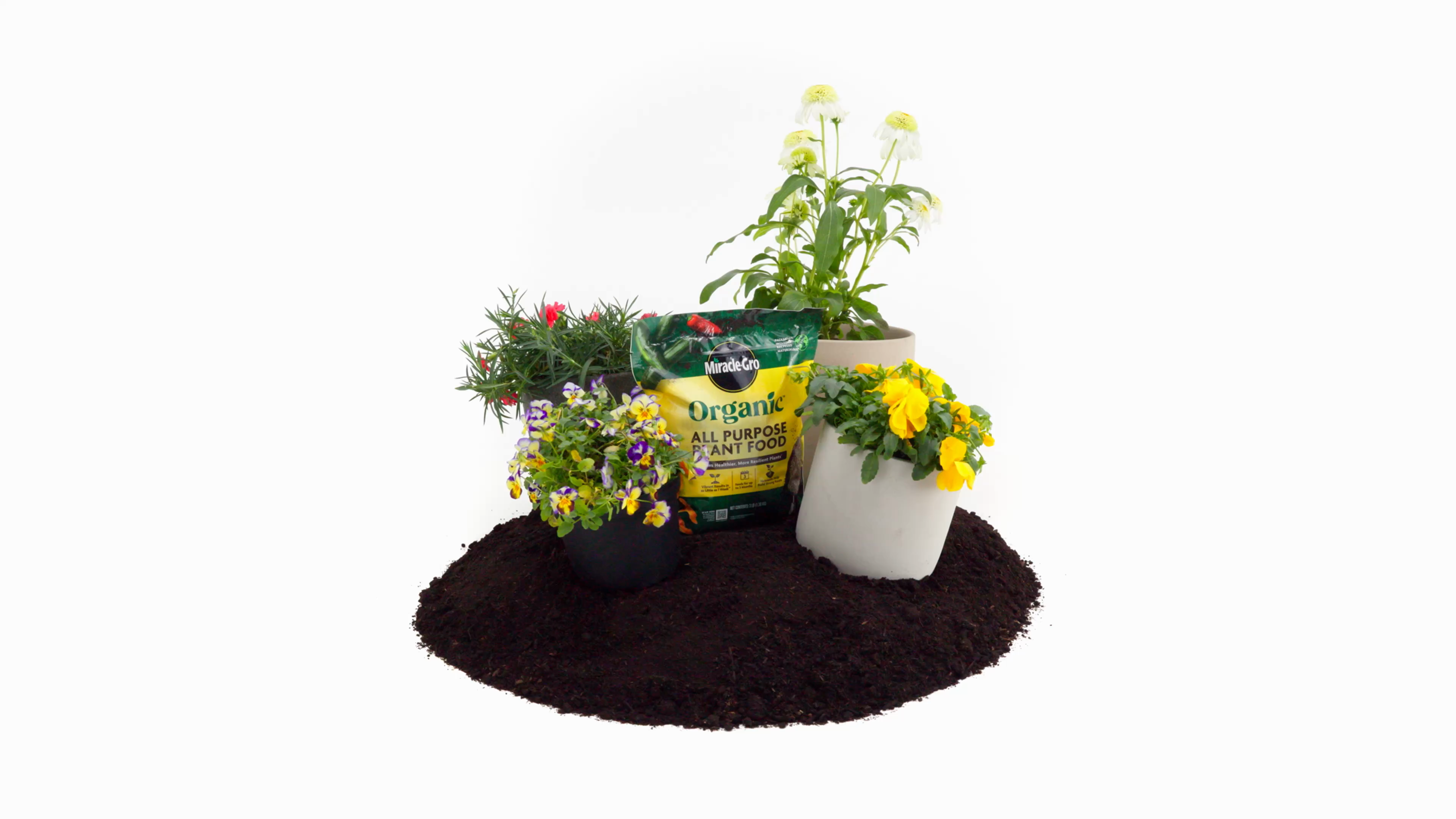 cinnamon powder for plants Cinnamon Powder - NY Spice Shop