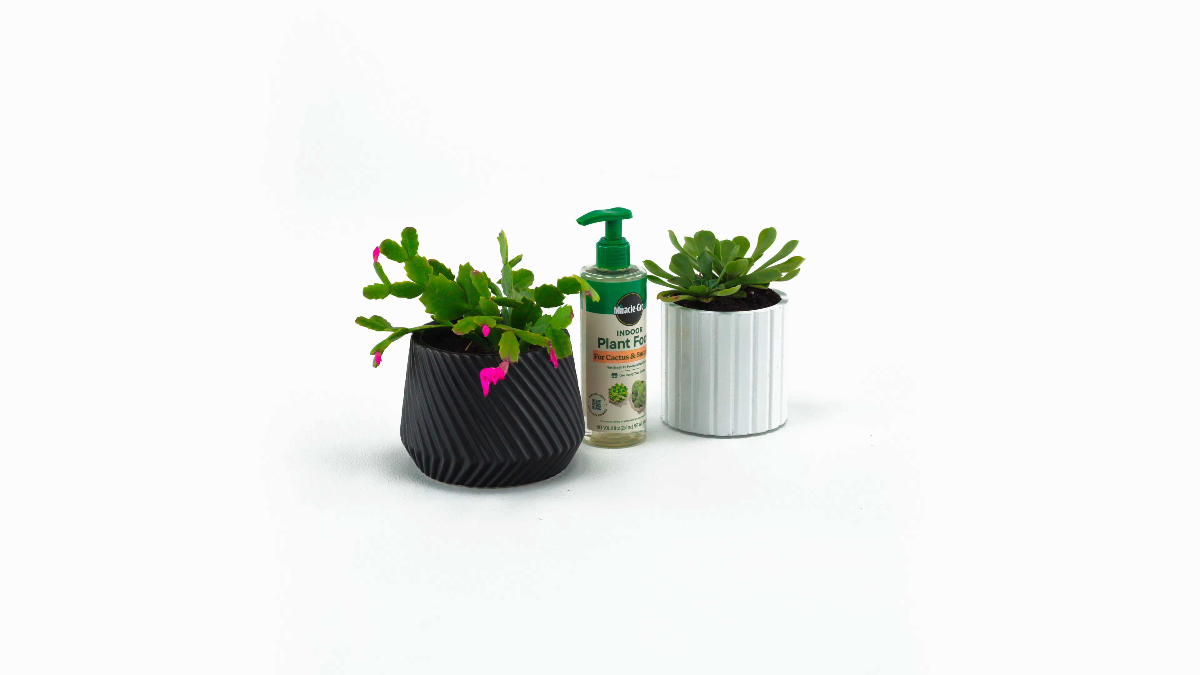 Miracle-Gro Indoor Plant Food for Cactus & Succulent | ScottsMiracle-Gro US Miracle-Gro Indoor Plant Food for Cactus & Succulent | ScottsMiracle-Gro US