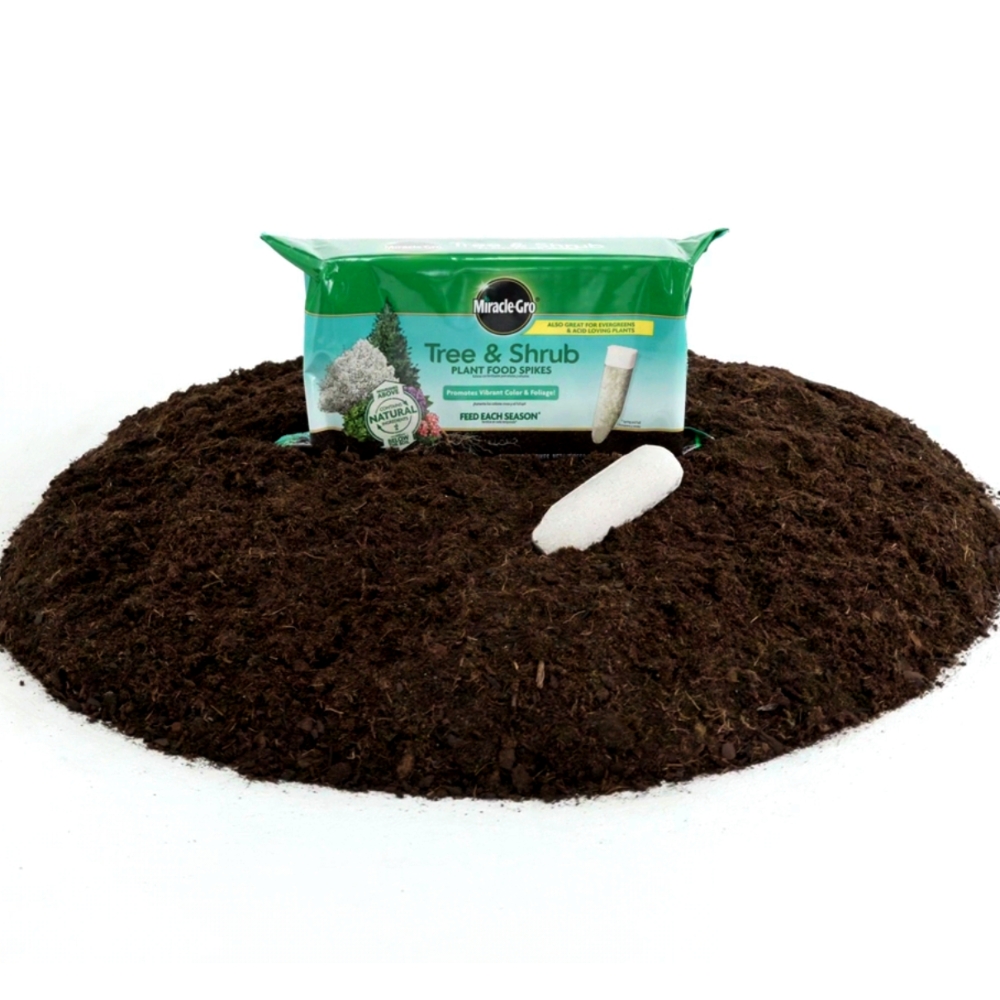 Miracle-Gro® Tree & Shrub Plant Food Spikes | ScottsMiracle-Gro US