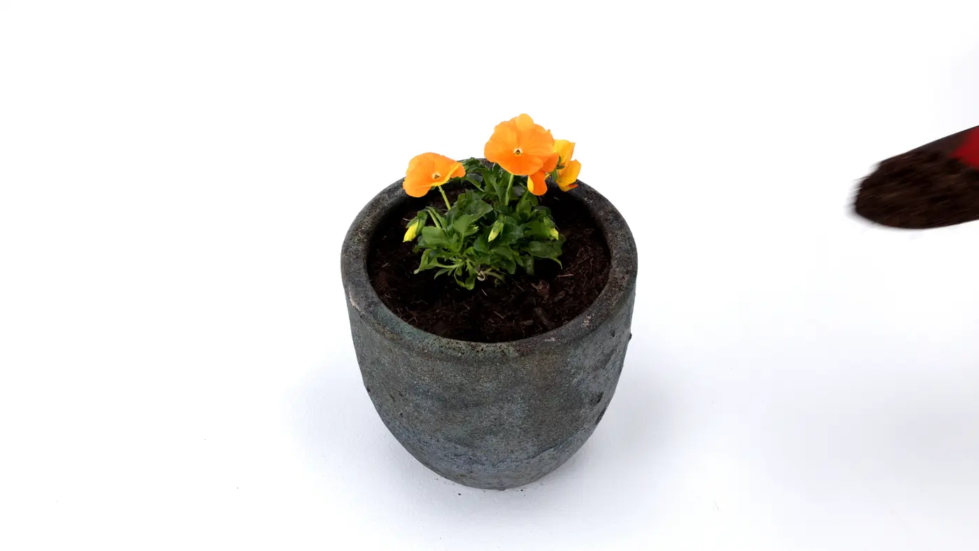 Miracle-Gro Organic Outdoor Potting Mix | ScottsMiracle-Gro US